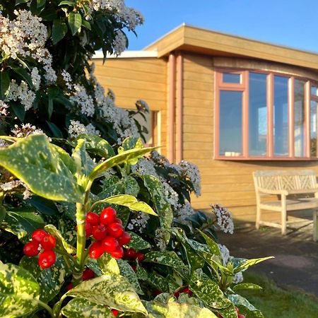 3 Pers. Holiday Home Sonnenschein With Fenced Garden And Infrared Sauna Anjum Exterior foto